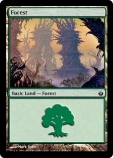 Forest (154)