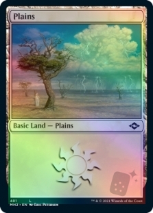 Plains (481) (Foil-etched)