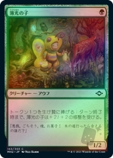 薄光の子