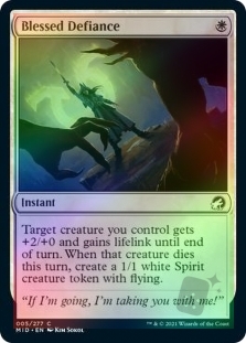 Blessed Defiance