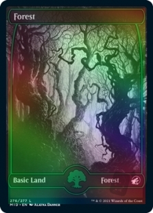 Forest (276) (Full Art)
