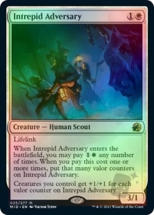 Intrepid Adversary