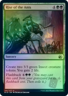 Rise of the Ants