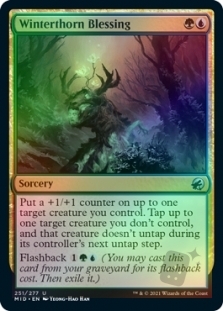 Winterthorn Blessing