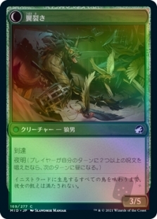 鳥の称賛者 // 翼裂き