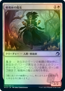 蝋燭林の魔女