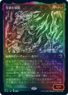 年経枝指 (Showcase)