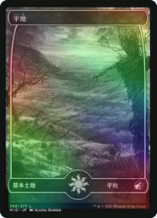 平地 (268) (Full Art)