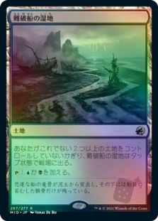 難破船の湿地