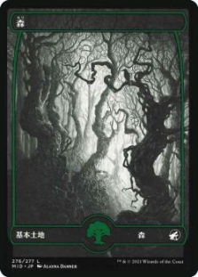 森 (276) (Full Art)