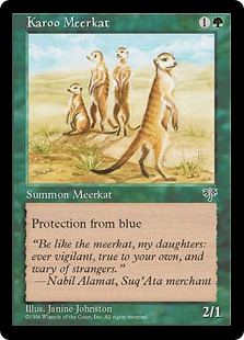 Karoo Meerkat