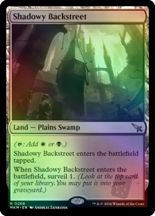 Shadowy Backstreet