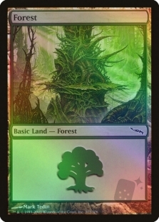 Forest (303)