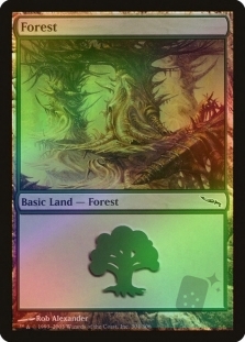 Forest (304)