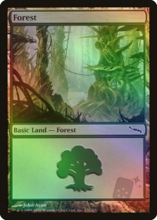 Forest (306)