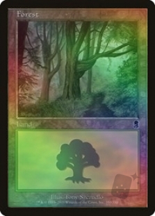 Forest (350)
