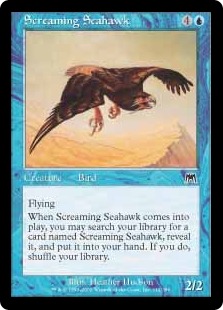 Screaming Seahawk
