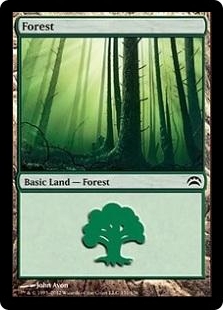 Forest (151)