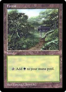 Forest (APAC Clear: Korea)