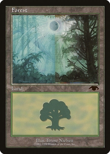 Forest (Guru Land)