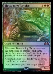 Blossoming Tortoise (WOE Promo Pack)