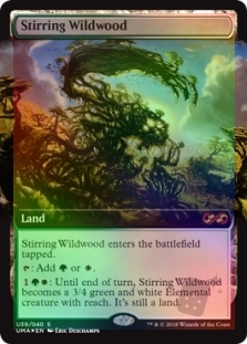 Stirring Wildwood