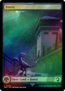 Forest (025)(Full Art) // Forest (025)(Full Art)