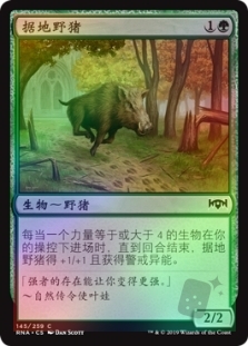 Territorial Boar