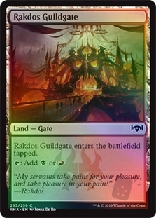 Rakdos Guildgate (255)