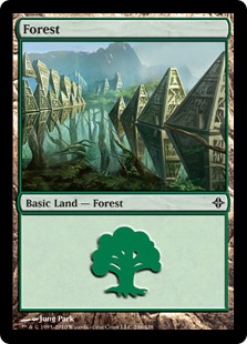 Forest (246)
