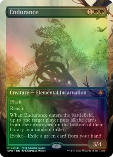 Endurance (Borderless)