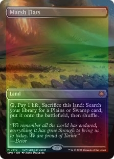 Marsh Flats (Borderless) (110)