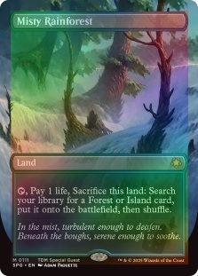 Misty Rainforest (Borderless) (111)