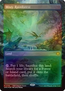 Misty Rainforest (Borderless) (116)