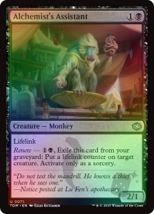 Alchemist's Assistant