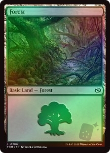 Forest (286)