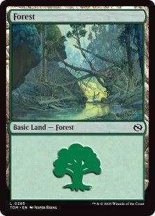 Forest (285)