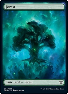 Forest (254) (Full-Art)
