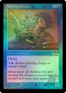 Fleeting Image