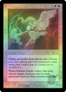 Karmic Guide