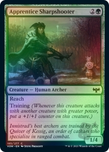 Apprentice Sharpshooter