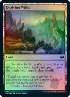 Evolving Wilds