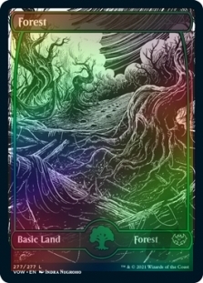 Forest (277) (Full Art)