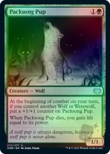 Packsong Pup