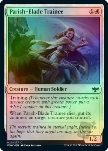 Parish-Blade Trainee