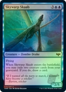 Skywarp Skaab