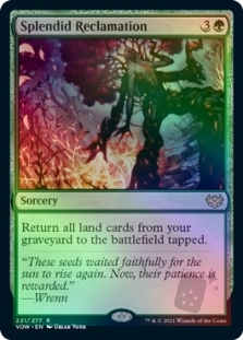 Splendid Reclamation