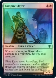 Vampire Slayer