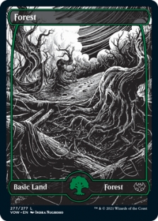 Forest (277) (Full Art)