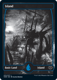 Island (270) (Full Art)